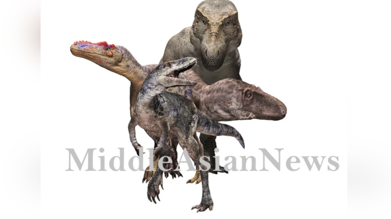 Новый вид динозавров, родственный T. Rex, обнаружен в Монголии и назван Khankhuuluu mongoliensis