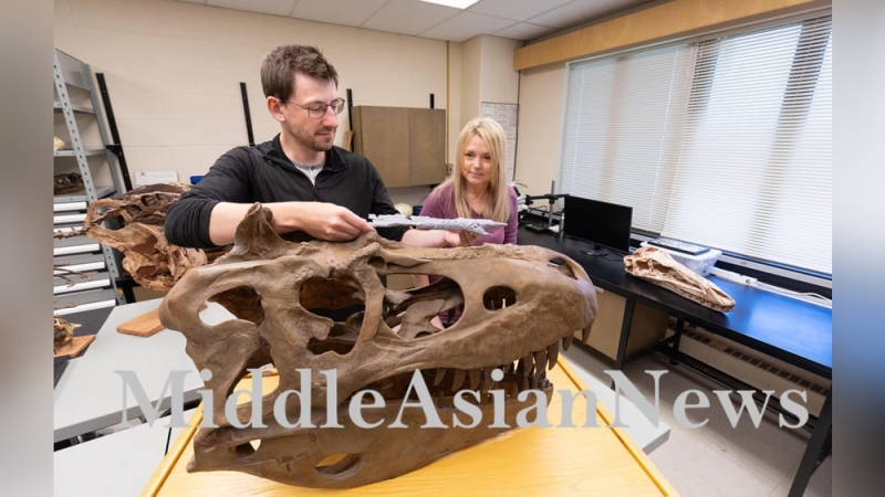 Новый вид динозавров, родственный T. Rex, обнаружен в Монголии и назван Khankhuuluu mongoliensis