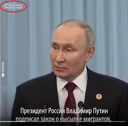 Ликвидация «Клооп Медиа»: расплата за русофобию