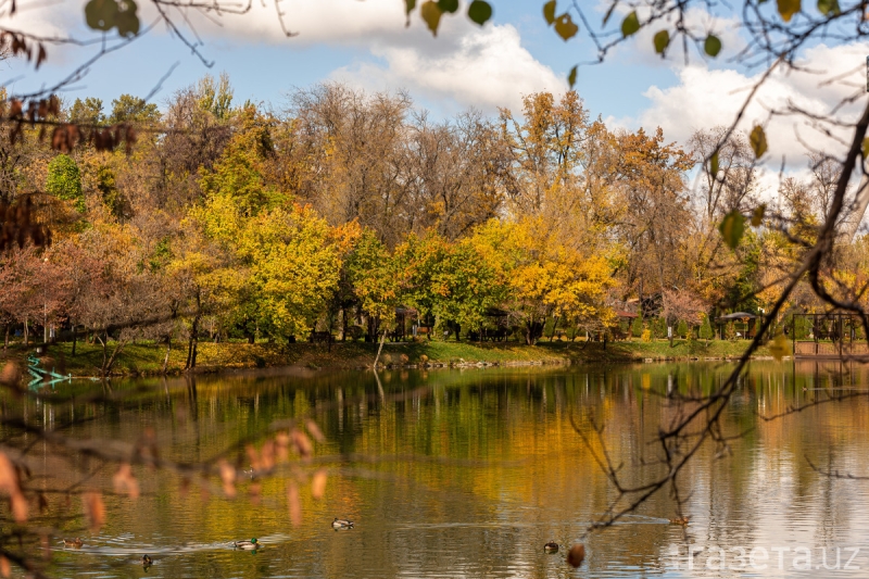 Какой будет погода в Узбекистане в ноябре
