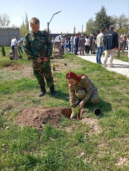 Можно памятник воздвигнуть&hellip; А можно посадить (фоторепортаж)