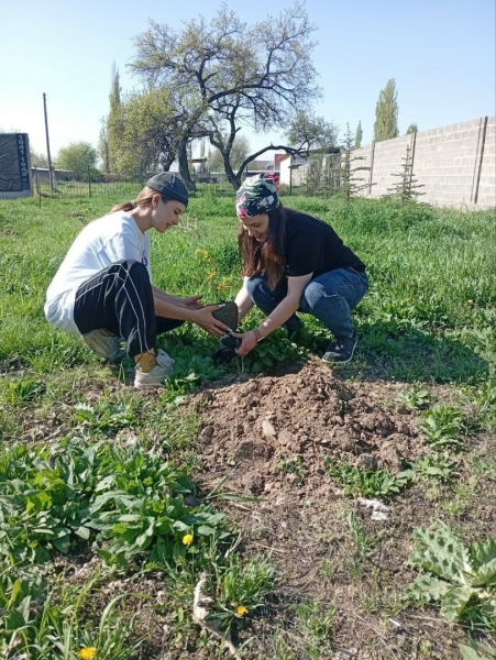 Можно памятник воздвигнуть&hellip; А можно посадить (фоторепортаж)