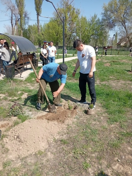 Можно памятник воздвигнуть&hellip; А можно посадить (фоторепортаж)