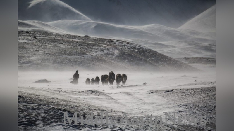 В Монголии ожидаются сильные морозы до –44 градусов